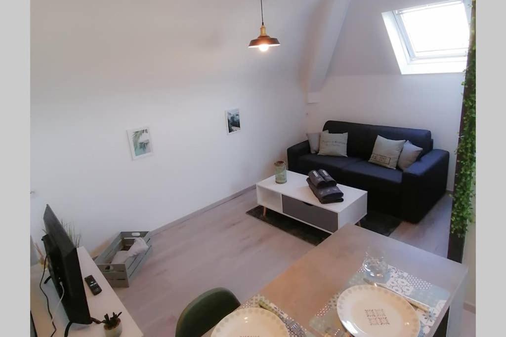 Le Cosy Apartment Sens Exterior photo