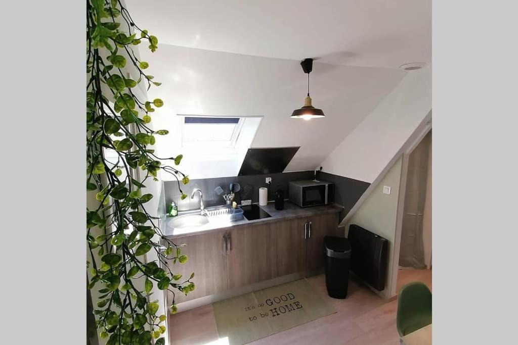 Le Cosy Apartment Sens Exterior photo
