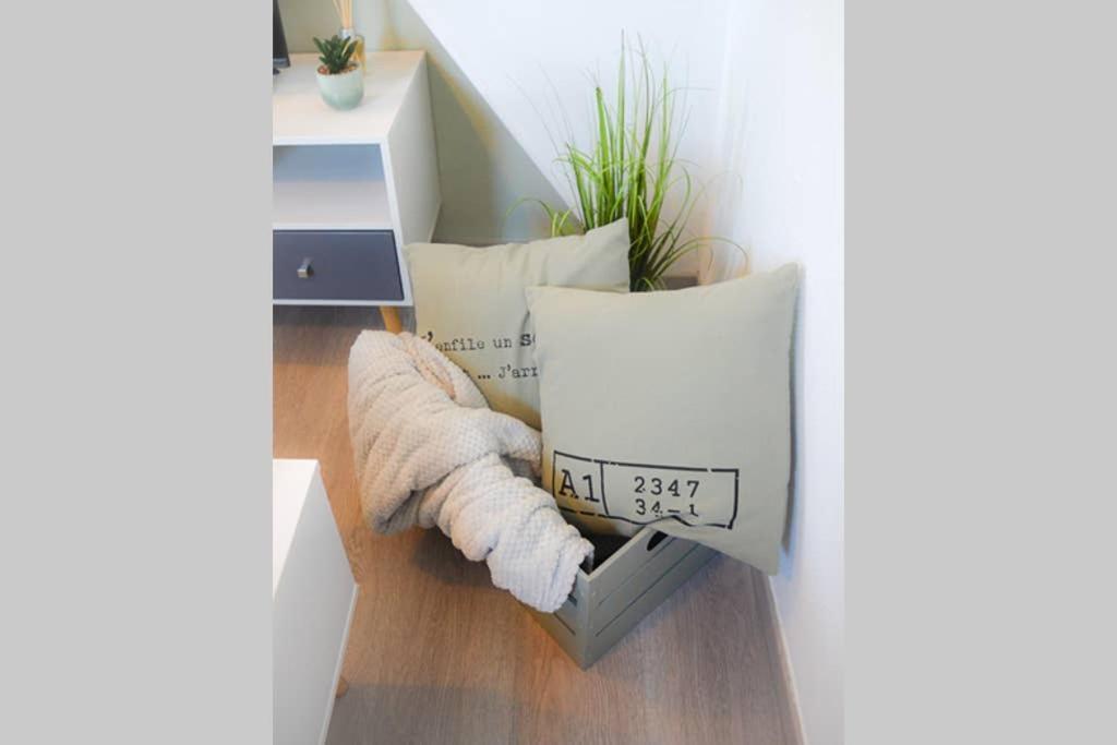 Le Cosy Apartment Sens Exterior photo
